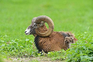 《切尔诺贝利人》制作团队曾前往实地3D扫描取材